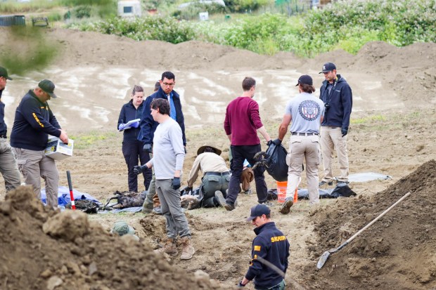 Multiple carcasses are on the ground at Miranda's Rescue during the investigation on Thursday. (Maranda Vargas The Times-Standard)