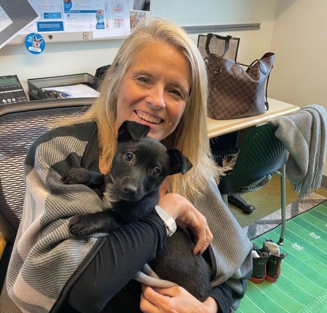Humane Society Silicon Valley appoints new president – East Bay Times