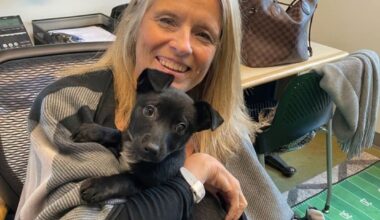 Humane Society Silicon Valley appoints new president – The Mercury News
