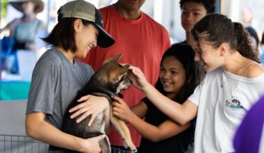 Bark & Meow Around the Block: Berkeley’s Day for Pet Lovers – NBC Bay Area