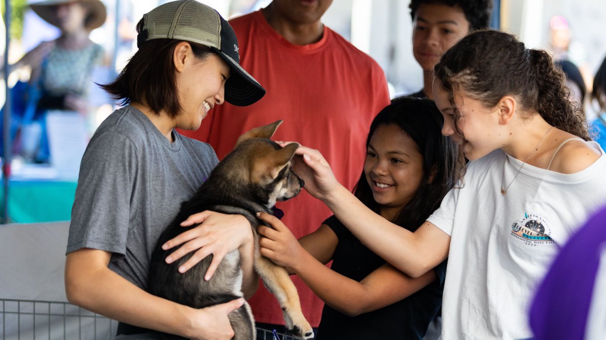 Bark & Meow Around the Block: Berkeley’s Day for Pet Lovers – NBC Bay Area