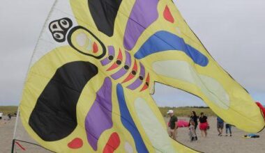 Washington international kite fest celebrates year 45 in Long Beach
