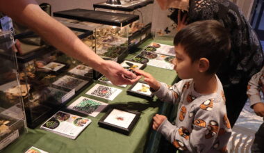 Sacramento hosts inaugural Bugtopia insect expo