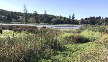 State Fish and Wildlife Commission met in Long Beach