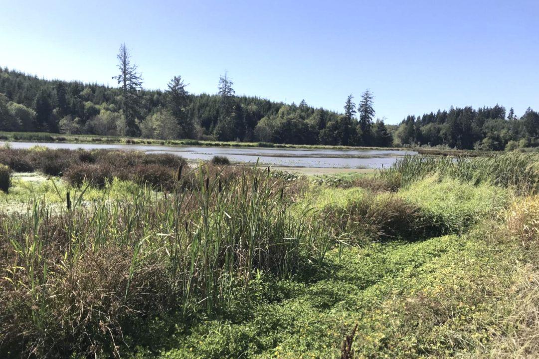 State Fish and Wildlife Commission met in Long Beach