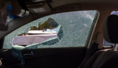 Vehicle thefts in California fall for second straight year, CHP says – Orange County Register