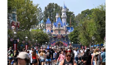 Niles: Theme parks take different paths around a tough summer – Daily Bulletin