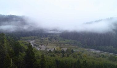 Yurok Tribe gains 125-acre redwood gateway in California land transfer