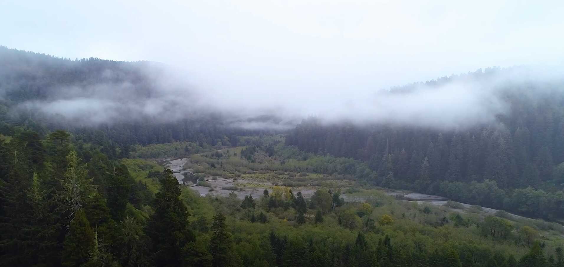 Yurok Tribe gains 125-acre redwood gateway in California land transfer