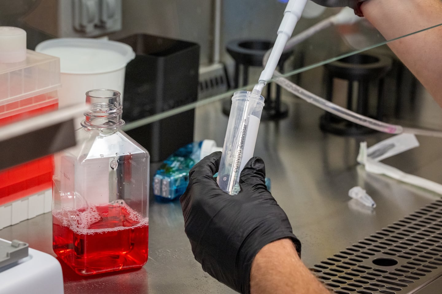 Dan Whalen, head of biochemistry at Integrated Biosciences, worked with cell cultures.