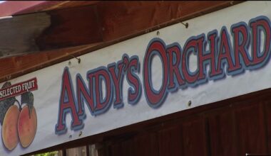 One of Santa Clara County’s last fruit orchards faces closure  – NBC Bay Area
