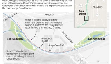 Facing state pressure, Pasadena needs to reduce Arroyo Seco bacteria; Here’s what you need to know – Pasadena Star News