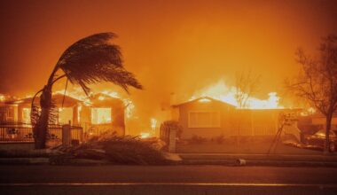 Trees swayed in high winds as the Eaton Fire burned structures in Altadena, Calif., in January 2025.