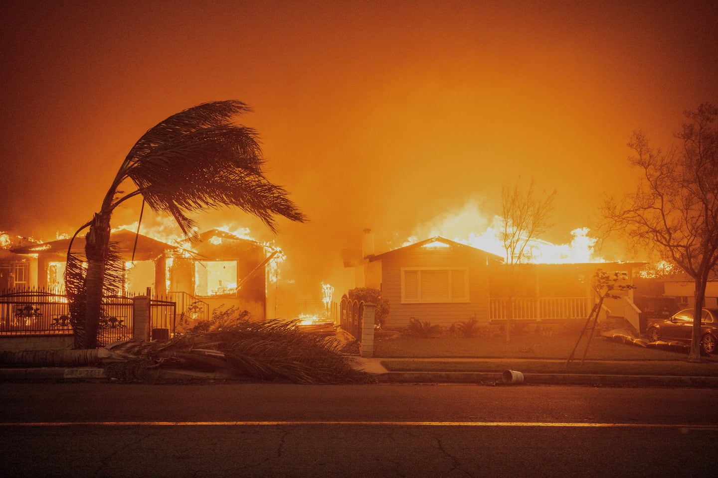 Trees swayed in high winds as the Eaton Fire burned structures in Altadena, Calif., in January 2025.