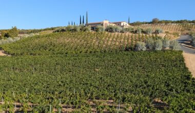 Temecula wine country: Southern California's affordable alternative to Napa