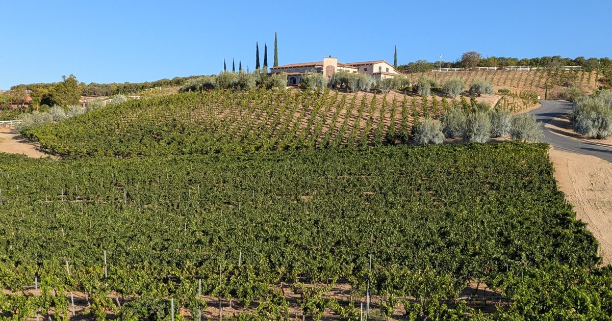 Temecula wine country: Southern California's affordable alternative to Napa