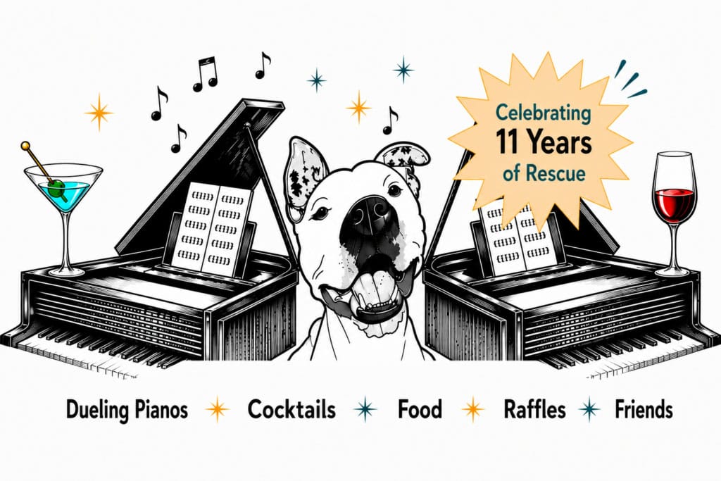Illustration of a white dog between two pianos with the caption "Celebrating 11 years of rescue."