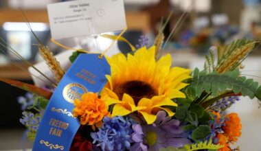 The Big Fresno Fair | Blog