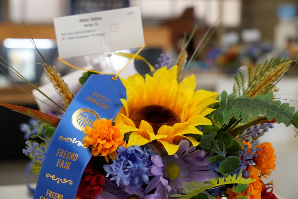 The Big Fresno Fair | Blog