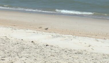 Surf City locks in decades-long beach protection plan