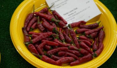 The Big Fresno Fair | Blog