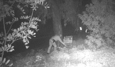 Several of Protect Rancho Santa Fe’s signs stolen – San Diego Union-Tribune