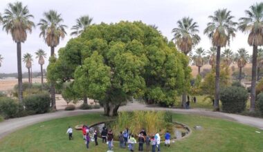 Fresno Unified cuts field trips amid budget shortfall