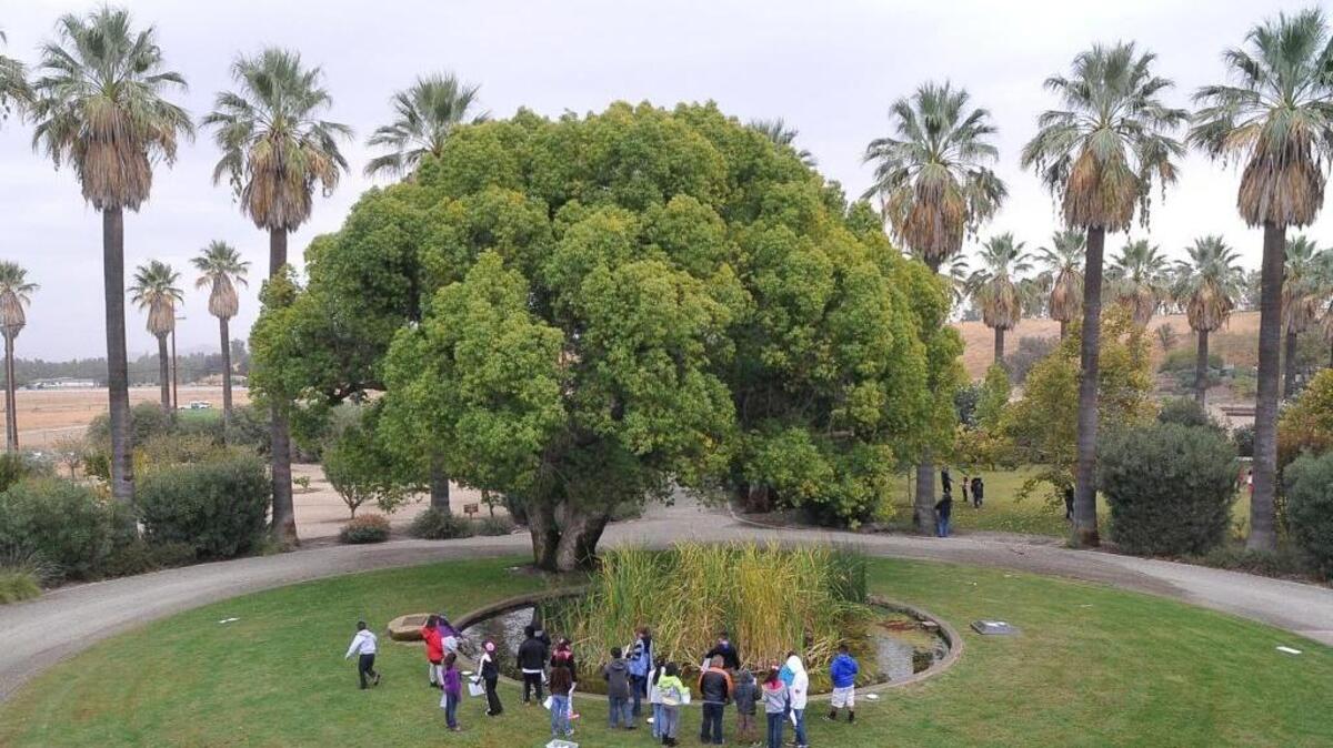 Vang Pao Elementary School takes a field trip as part of the San Joaquin River Parkway and Conservation Trust’s 25th anniversary celebration. Vang Pao Elementary School takes a field trip as part of the San Joaquin River Parkway and Conservation Trust’s 25th anniversary celebration.