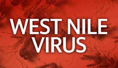 Two West Nile virus deaths reported in California's Central Valley