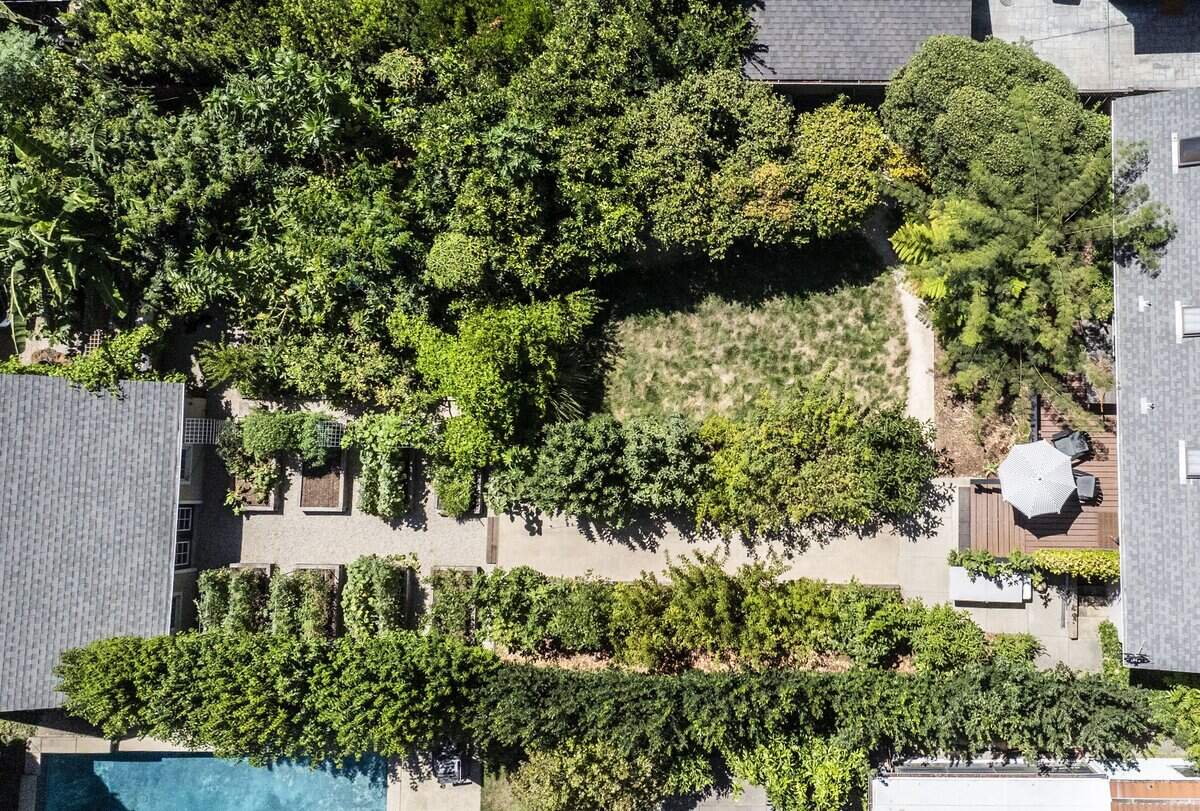 Kyle Hagerty's backyard garden earlier this month. Hagerty grows a variety of tropical fruits not normally grown in the area.