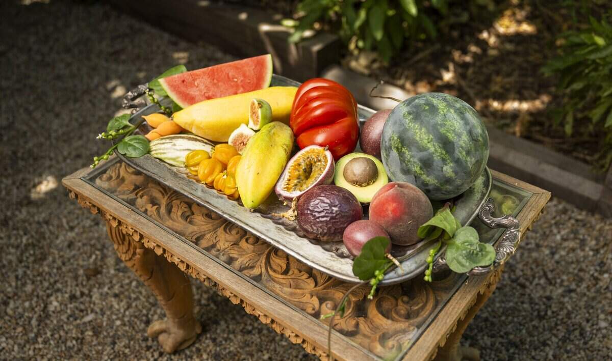 Kyle Hagerty, a Sacramento fire fighter, shares the fruit that he grows in his backyard garden earlier this month. He grows a variety of tropical fruits not normally grown in the area.
