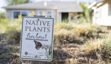 Kill your lawn effort spurs Sacramento bureaucratic headache