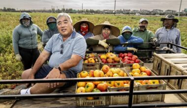Ray Yeung’s heirloom tomatoes star on Sacramento menus