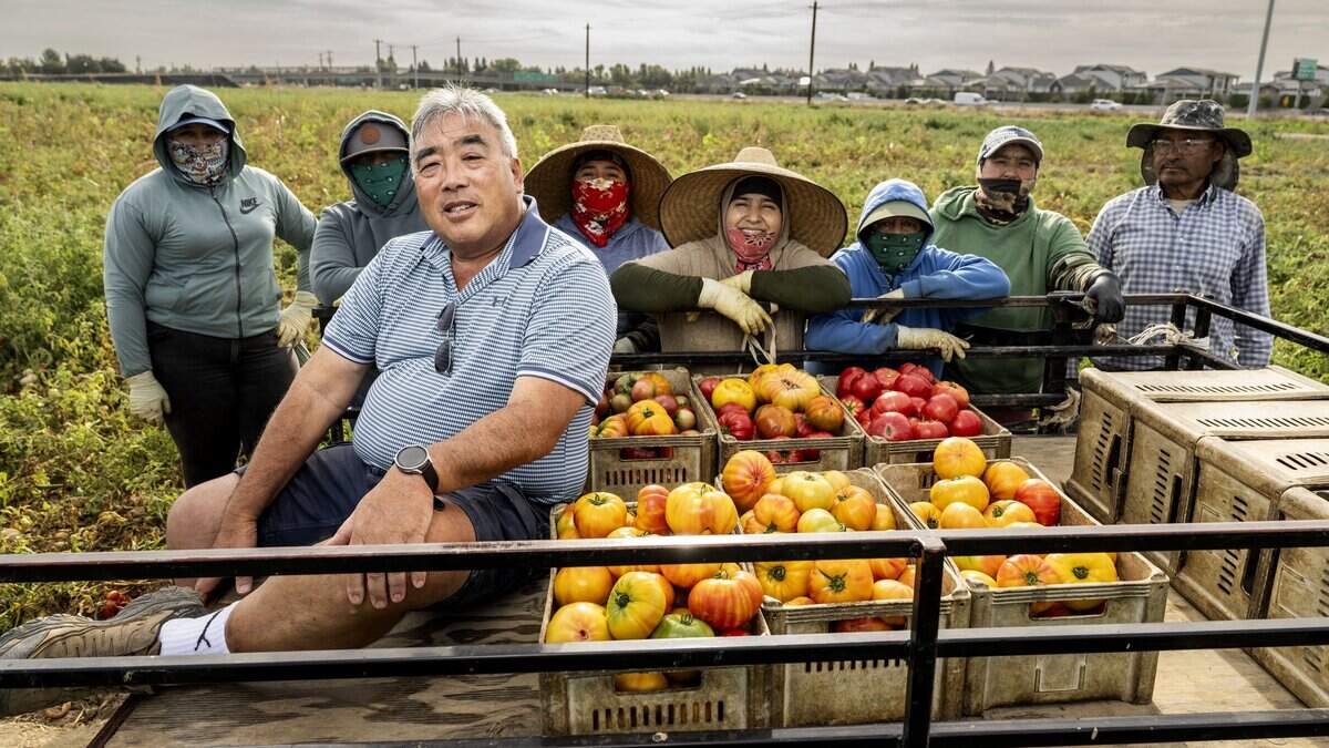 Ray Yeung’s heirloom tomatoes star on Sacramento menus