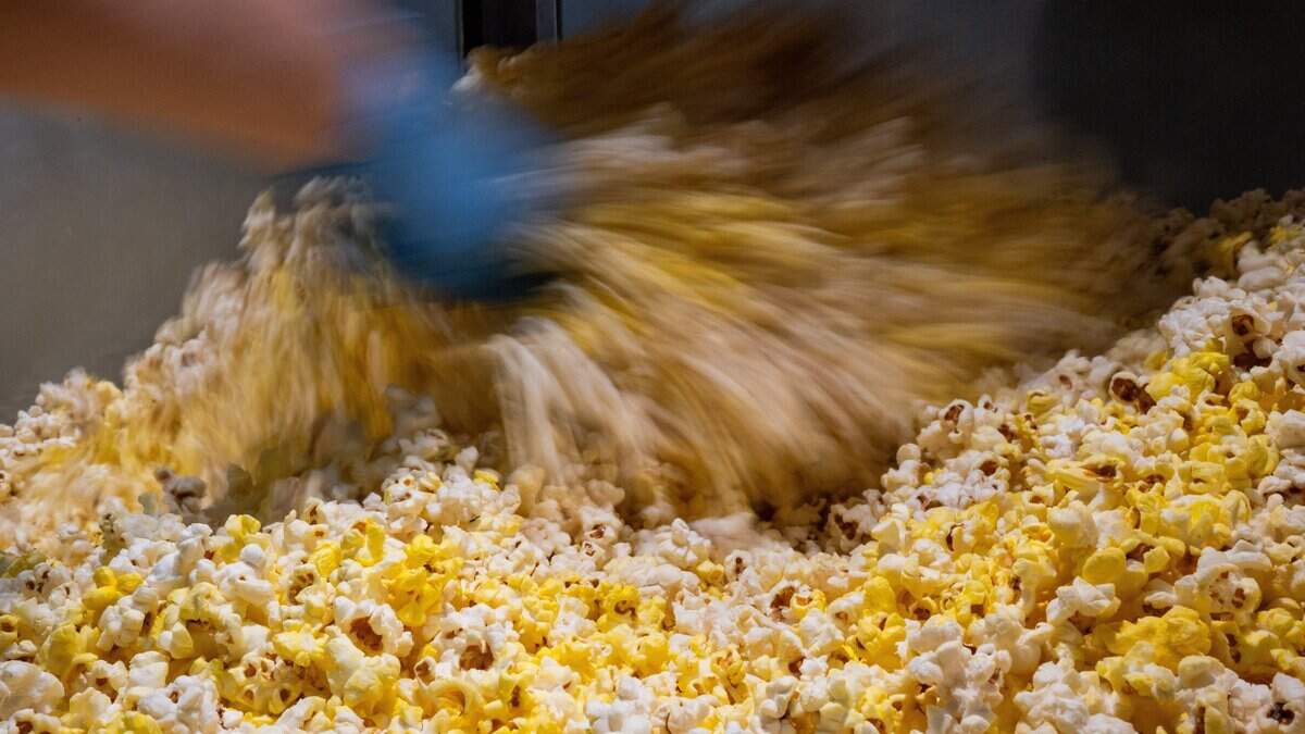 Movies Under the Stars lineup in Old Sacramento announced