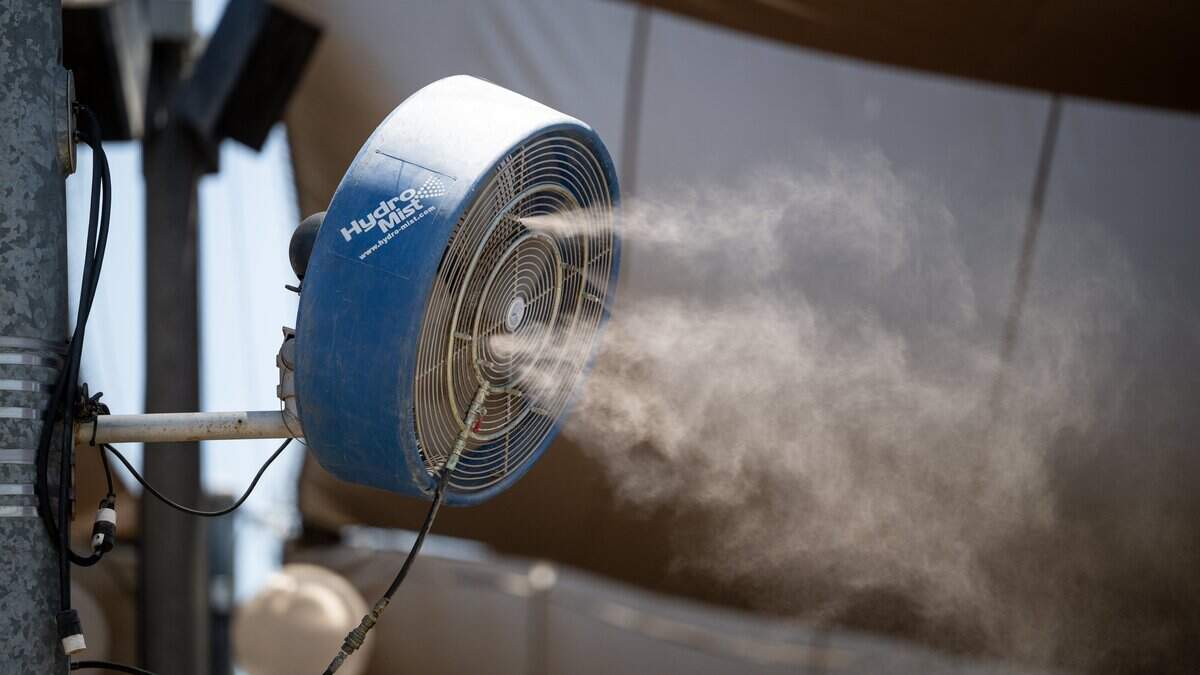 Where to find water misters in Sacramento during the heat wave