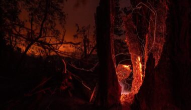 PG&E fined $22 million for 2022 Mosquito Fire in California