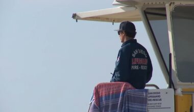 Viral Santa Cruz water rescue video sparks renewed push to make lifeguards first responders – NBC 7 San Diego