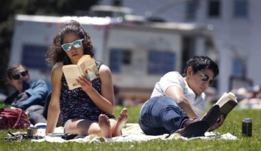 The Best Places to Bring Your Book in the Bay Area (‘Performative Reading’ Accusations Not Included)