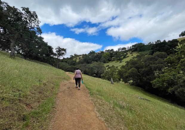 For an inexperienced hiker, the Arrowhead Loop Trail in Santa Clara County's Coyote Valley Open Space Preserve provides a moderately challenging but rewarding workout. (Photo by Kalpana Mohan)