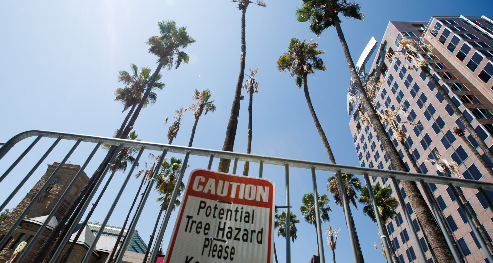 San Jose’s Circle of Palms Plaza temporarily closed due to dying trees