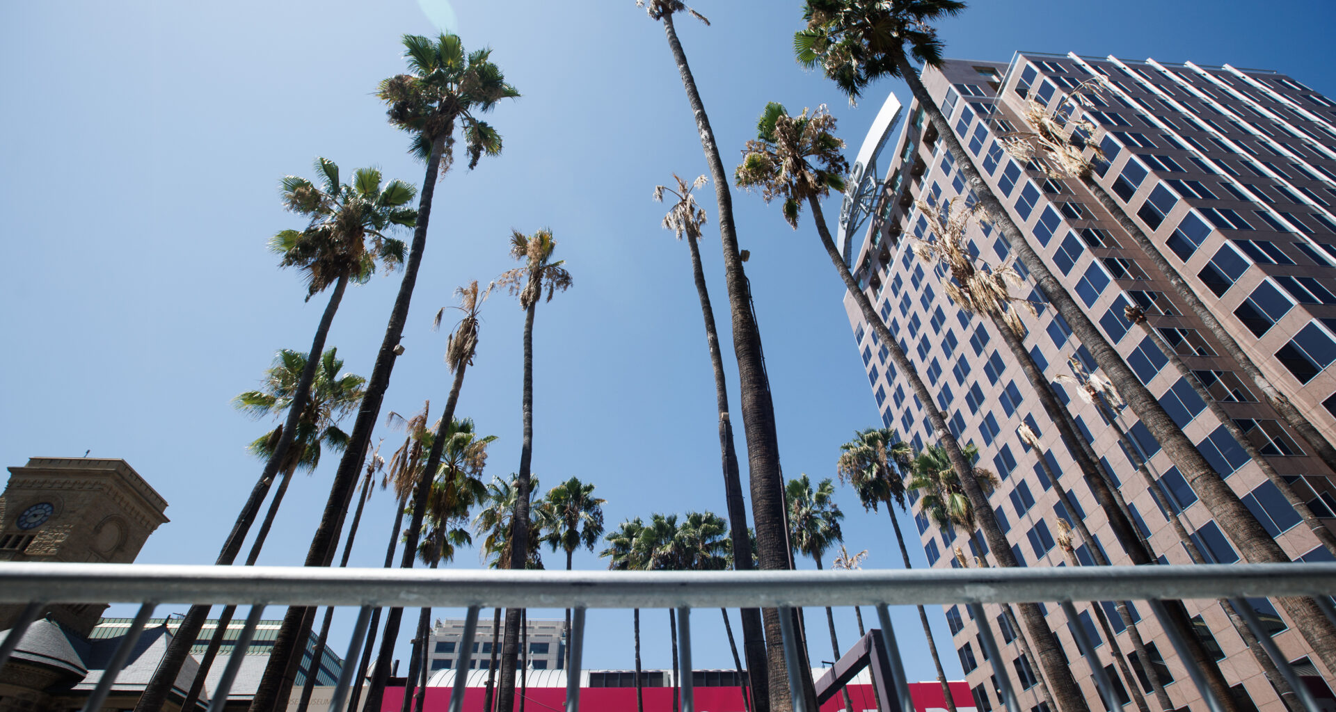 Letters: Palm trees belong in L.A., not 'Valley of Oaks'
