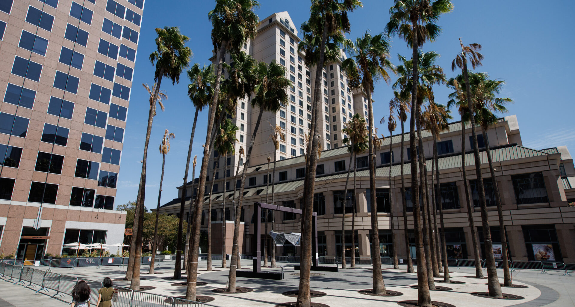 San Jose can’t have a Circle of Palms without palms, right? – The Mercury News