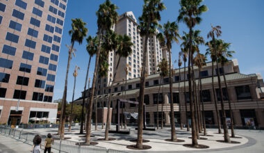 San Jose can’t have a Circle of Palms without palms, right? – The Mercury News