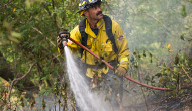 Timber Fire strands endangered condors as Big Sur evacuations expand – The Mercury News
