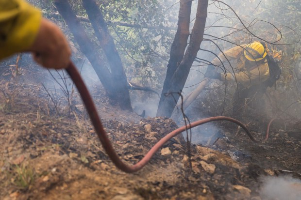 A firefighter pulls down a burning tree while fighting the Timber Fire above Deetjen's Inn in Big Sur, Calif., Tuesday, Aug. 11, 2026. (AP Photo/Nic Coury)