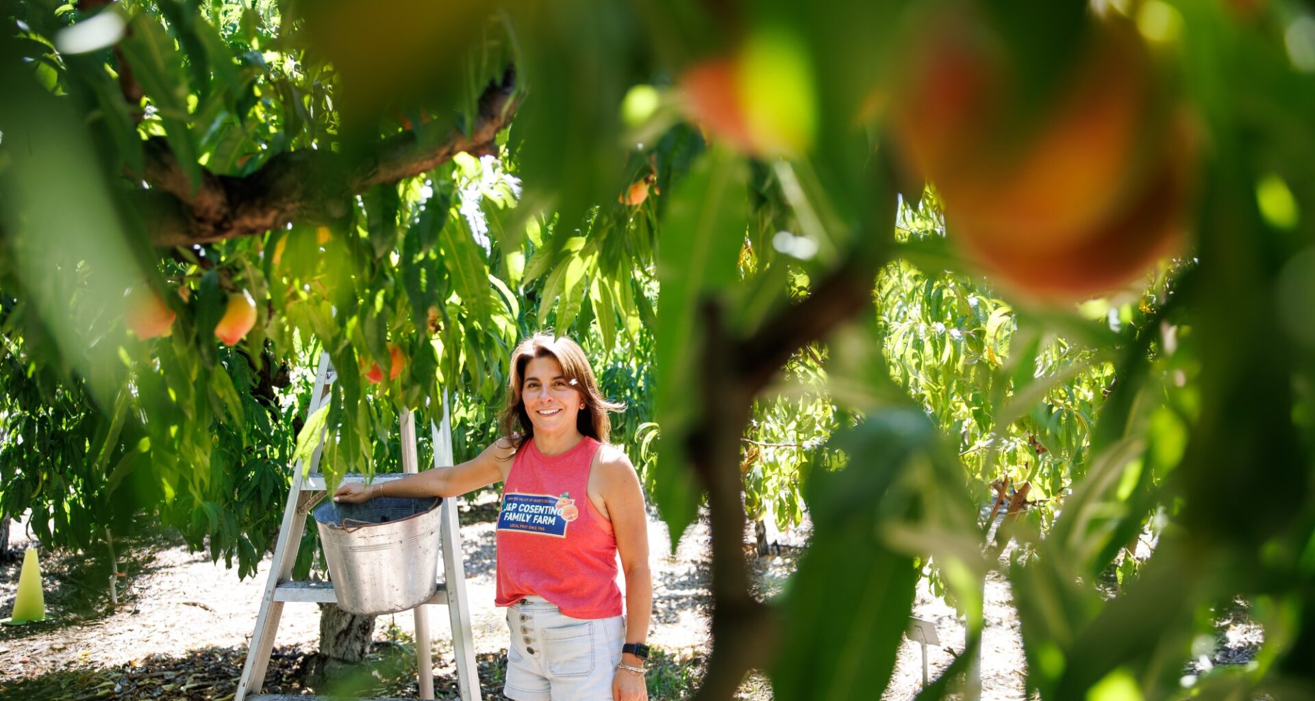 Small farms in Silicon Valley fight to keep the area’s agricultural legacy alive – Silicon Valley