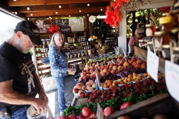 Charley Reed, left, and his wife Kit Reed select fruit at J&P Cosentino Family Farm on Thursday, June 11, 2026, in San Jose, Calif. (Dai Sugano/Bay Area News Group)