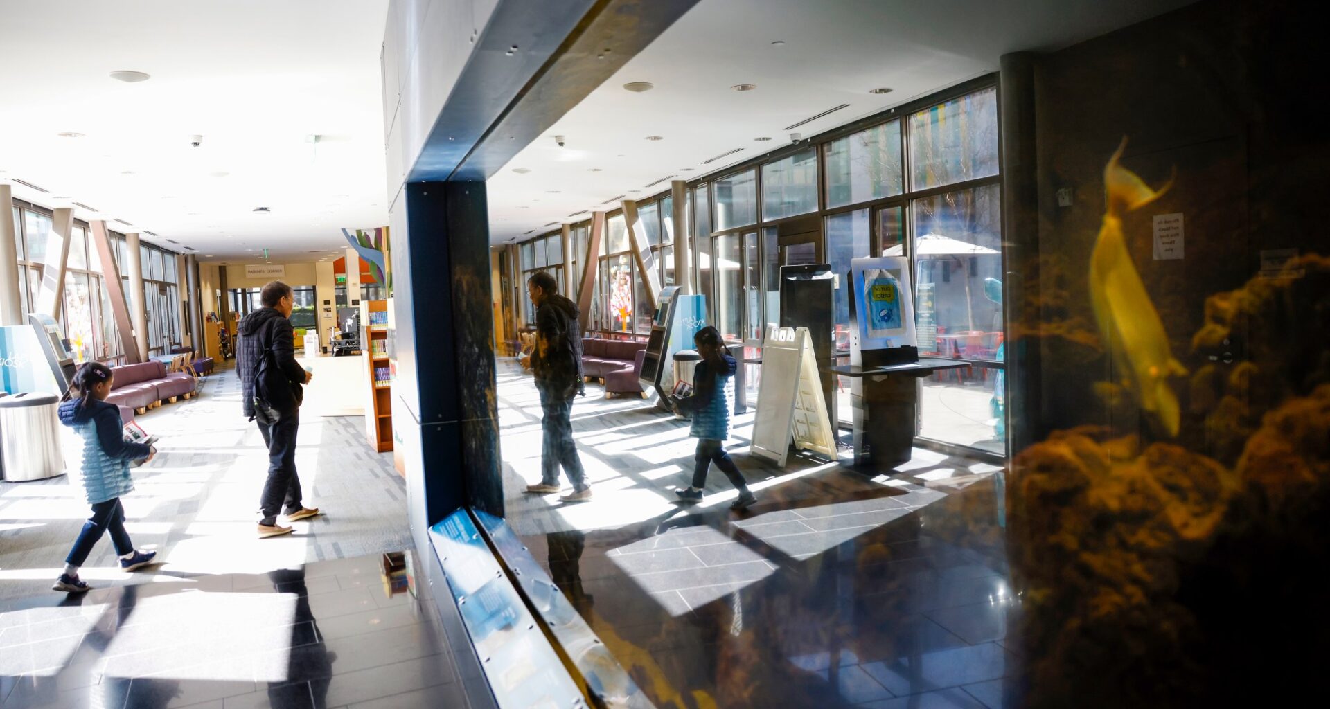 Cupertino Library unveils restored aquarium on Aug. 8 – East Bay Times