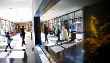 Cupertino Library unveils restored aquarium on Aug. 8 – East Bay Times